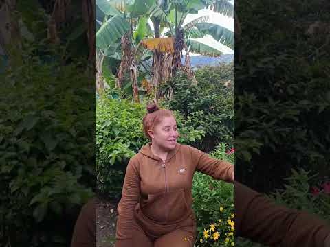 WhatsApp Video 2026 05 26 at 4 32 33 PM 1
