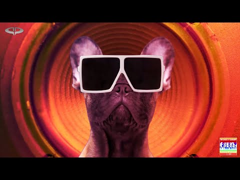 Vinylshakerz x Bassloop - Daddy Cool [ Promo ]