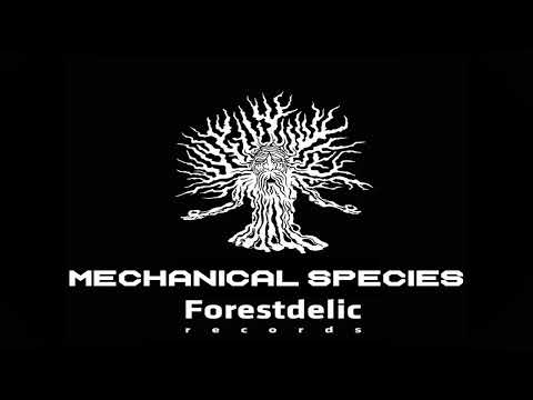 Unite @ Mechanical Species - Psytrance Sessions
