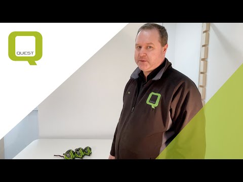 Quest Shop offers  - Imex Tape