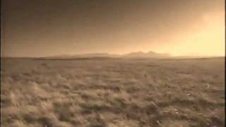 Pat Metheny  -  Above the Treetops 1992  (clip 2010)