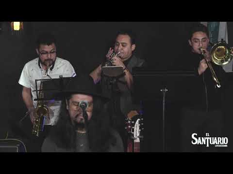 The Long and Winding - Magical Mystery Band