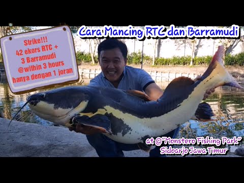 download lagu mp3 mp4 Monstero, download lagu Monstero gratis, unduh video klip Download Monstero Mp3 dan Mp4 Popular Gratis