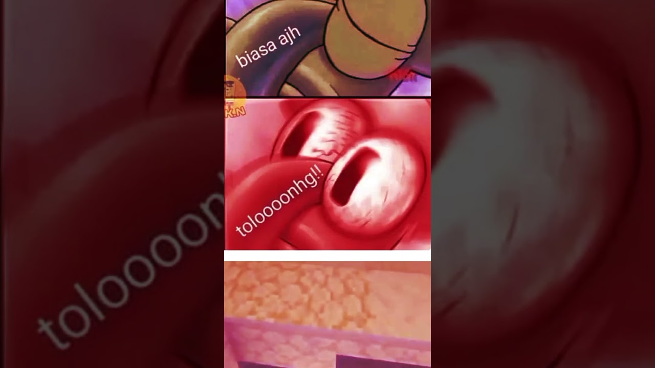 Info loker dong bang #meme #funny #lahelu #minecraft #cat #viral #mobilelegend