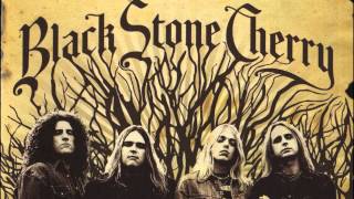 Black Stone Cherry - Tired Of The Rain (Audio)