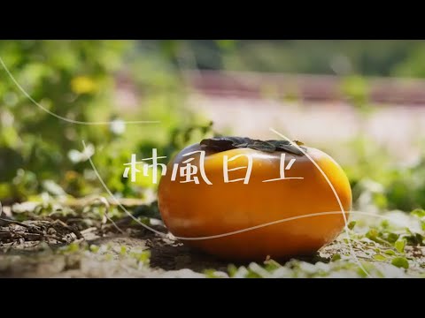 生命,柿在必行!