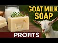 Goat Milk Soap Skincare Niche Products For Extra Income
