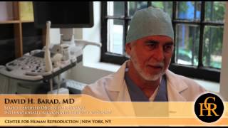 Center for Human Reproduction (CHR) is home to some of the best fertility specialists in the world.