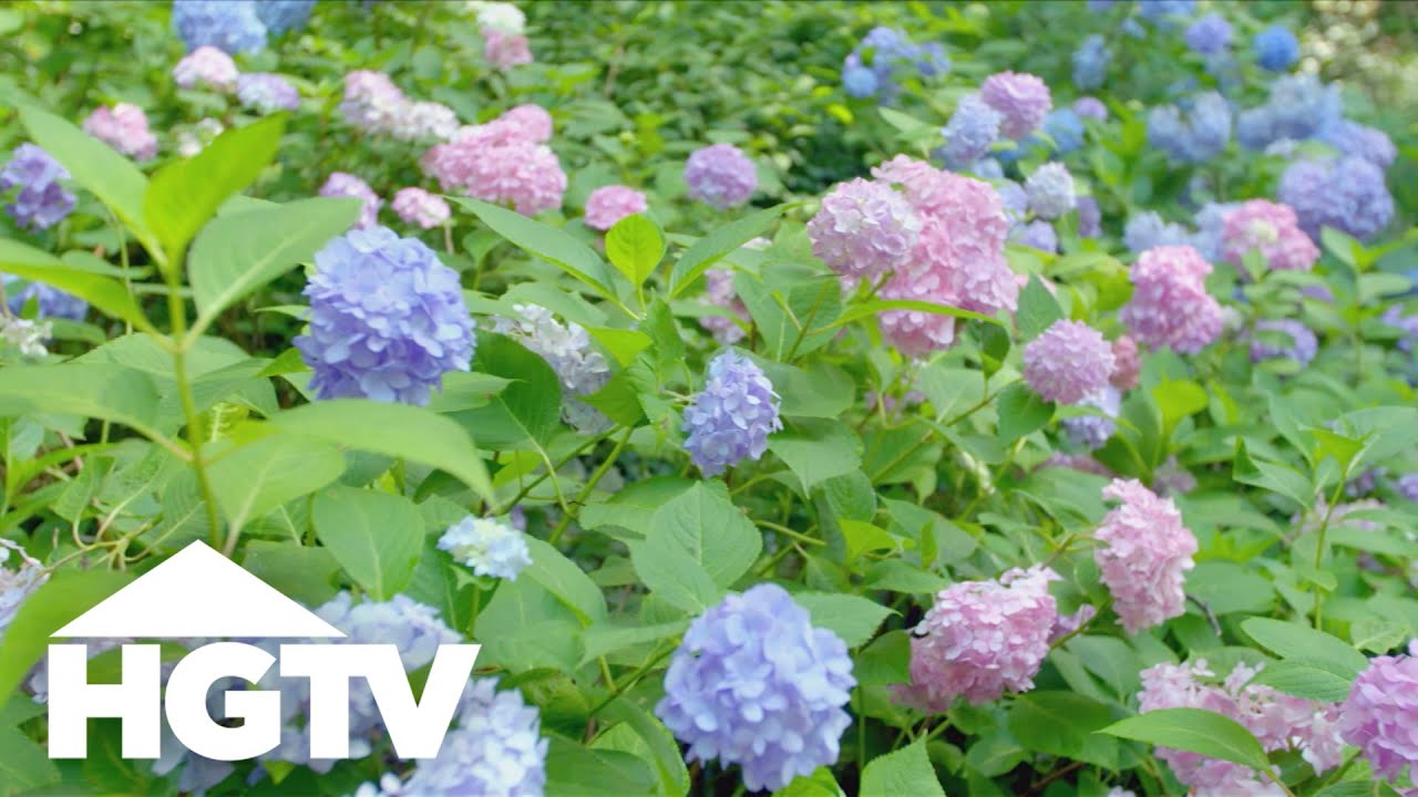Garden Tours: Serene Sculpture Garden Tour | HGTV