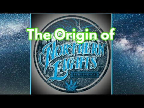 The Origin of Northern Lights