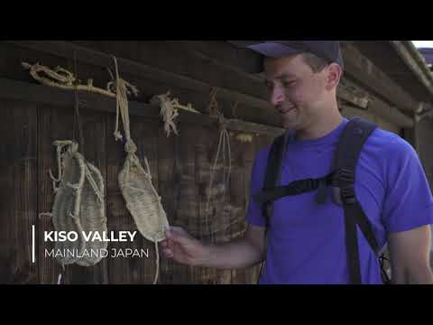 VJA #7: MAINLAND JAPAN & MT. FUJI