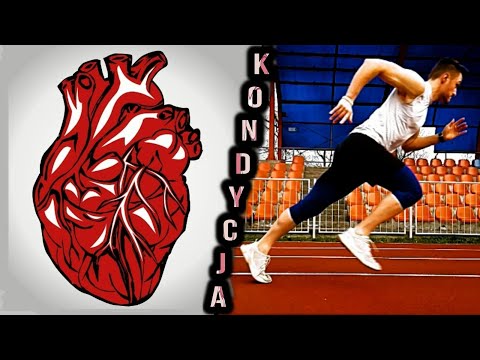 Wydolność i kondycja - jak je budować z naukowego punktu widzenia