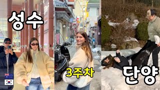 Seongsu & Snowball Fight in Danyang ☃️ | Korea Vlog Week 3 [International Couple]