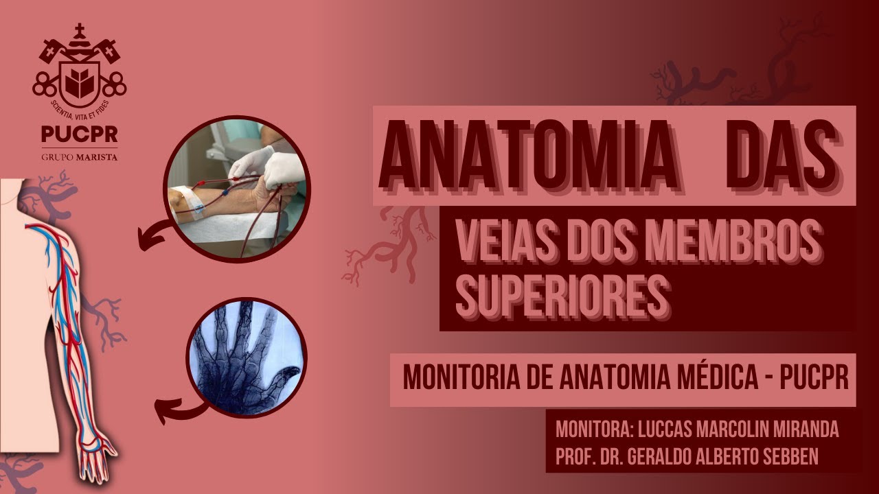 Drenagem Venosa do Membro Superior - Monitoria de Anatomia Médica da PUCPR