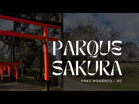 PARQUE SAKURA | FLORADA DA CEREJEIRA |  FREI ROGÉRIO - SC