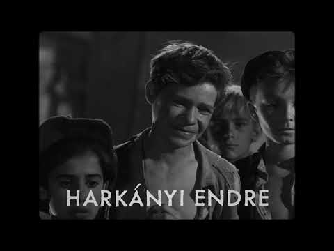 Valahol Európában (Radványi Géza, 1947, előzetes)