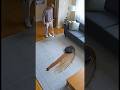 DOG POOP DISASTER! 😭 #funny #dog #humor