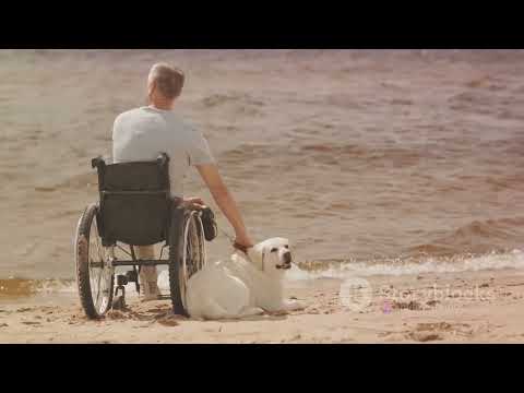 Man's Best Friend: A Survival Tale at Sea