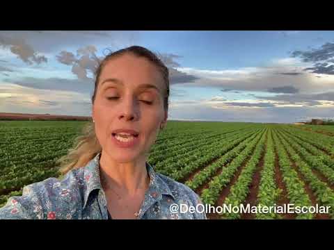 Escola + ideologia = um monte de mentiras.