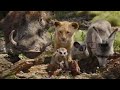 Hakunamata Song In Telugu Lion King In Telugu Telugu Dubbed Movies TDMovies