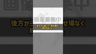 なぜ11頭でいちばん軽い55キロなのか ゾロアストロ 新潟記念 #Shorts