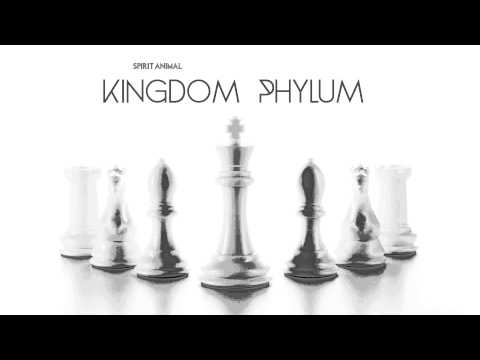 Record Heat - Radio Brain | Kingdom Phylum