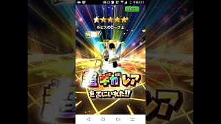【星ドラ (ドラクエ) 】ルビスガチャ最終日駆込み！ちびべりの挑戦【星のドラゴンクエスト】