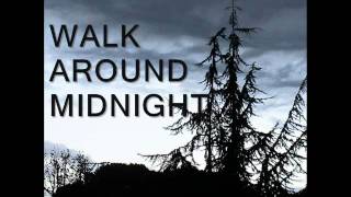 Indiscipline - Walk Around Midnight (2011 DEMO)