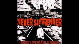 Never Surrender - Bihotz errebeldea