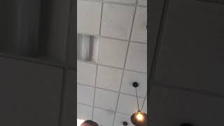 Worship over Dunya Fresh Halal Food - Orange Park￼ - Psalm 139