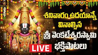 Download lagu 🔴 LIVE | Sri Venkateswara Swamy Devotional Songs | శనివారం వినాల్సిన భక్తి పాటలు || Srimatha Bhakthi mp3 Download lagu 🔴 LIVE | Sri Venkateswara Swamy Devotional Songs | శనివారం వినాల్సిన భక్తి పాటలు || Srimatha Bhakthi mp3