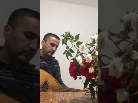 Tazuri n tmedyazt tmazight