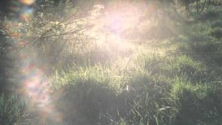 Fire-scene (S. Carey cover) with Euan