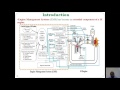 Overview Of Spark Ignition Engine Control System
