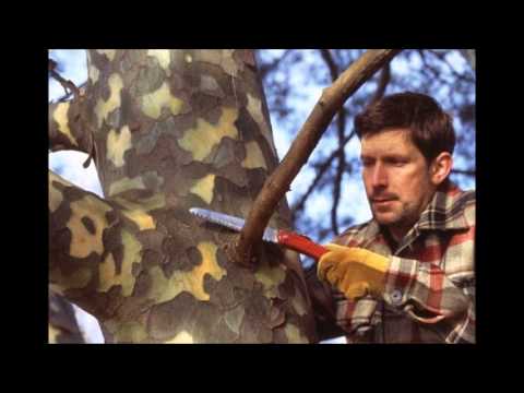 Anatol Melnic - FARSA -- Nucul (Jurnal FM)