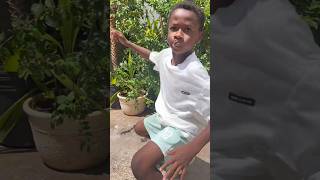 meu cupom para economizar ainda mais! 🎫262KIDSlilianmaede3meninos916✨#SHEINKIDS #SHEINtrends#ad