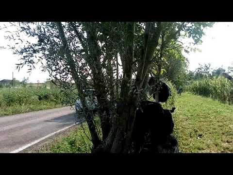 Rally Scorzé 2017(19)