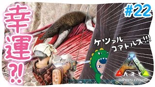 【ARK】#22 ドラゴンと空腹...(後半)【アークPS4版実況】