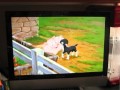 The Wild Thornberrys Movie 2003 VHS Previews