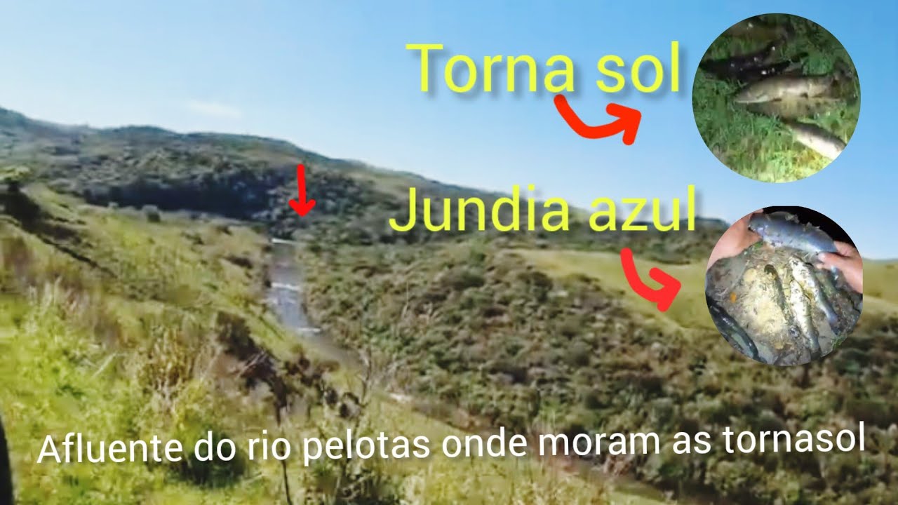 PESCARIA EM AFLUENTE,RIO PELOTAS,SC/RS, ACHAMOS AS TORNA SOL!!