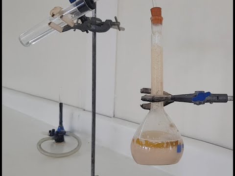 Anaerobic Respiration of Yeast