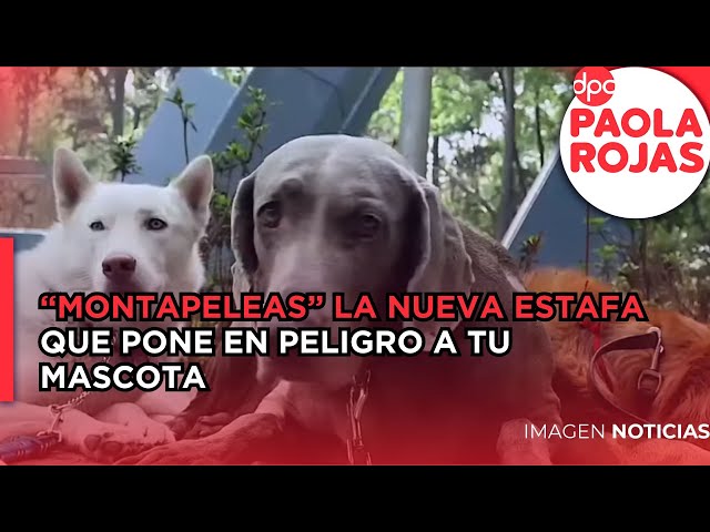 Youtube Imagen