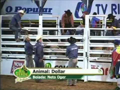 Romildo montero x Dólar da Cia Neto Oger