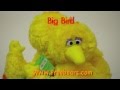 Big Bird Plush Stuffed Sesame Street Doll At FreeBears Com