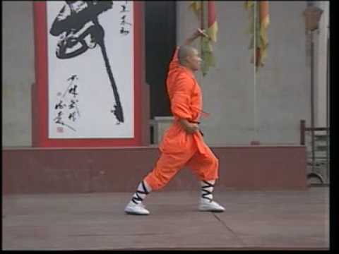 Shaolin Luohan Quan ER LU 少林罗汉拳