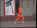 Shaolin Luohan Quan ER LU 少林罗汉拳
