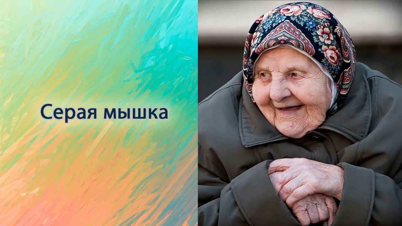 Серая мышка.