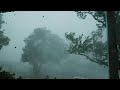 Cedar Rapids Derecho Aug 10 2020 100 Mph Winds VLOG