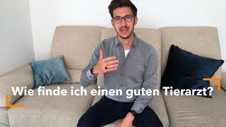 Wie finde ich einen guten Tierarzt? Der wichtigste Tipp!
