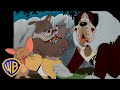 Tom Jerry Best Of Dogs ️ Animals Month Classic Cartoon Compilation Wbkids​